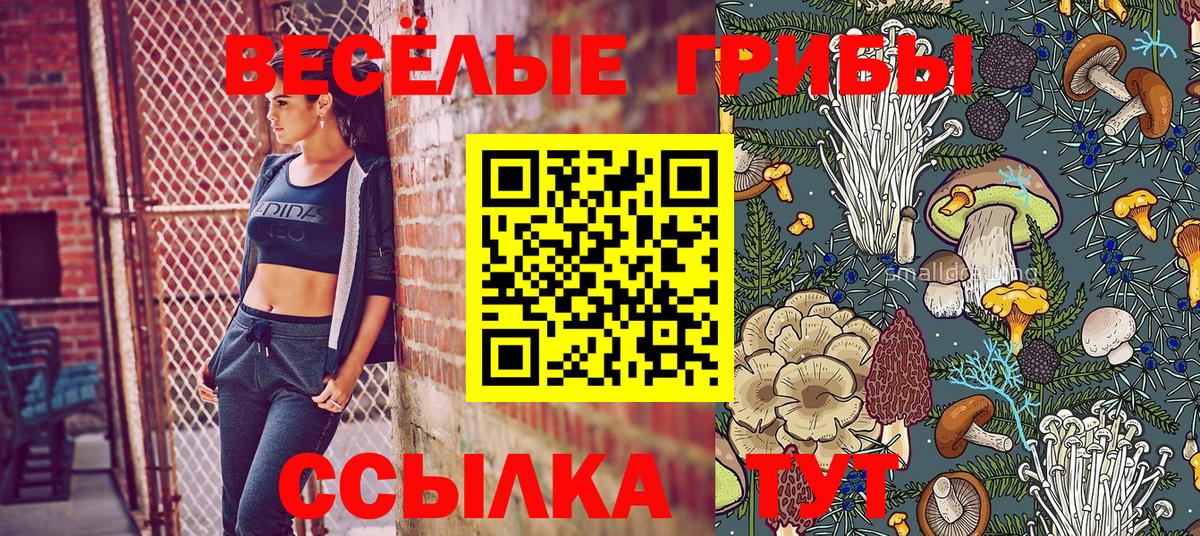 Галлюциногенные грибы Psilocybe  Псилоцибиновые грибы Magic Shrooms  Анапа  купить   Вход с VPN 