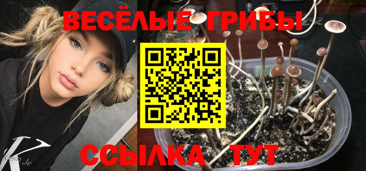 Галлюциногенные грибы GOLDEN TEACHER Анапа